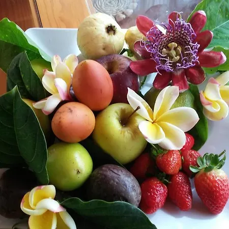 Sunny Terrace Tenerife Apartamento *