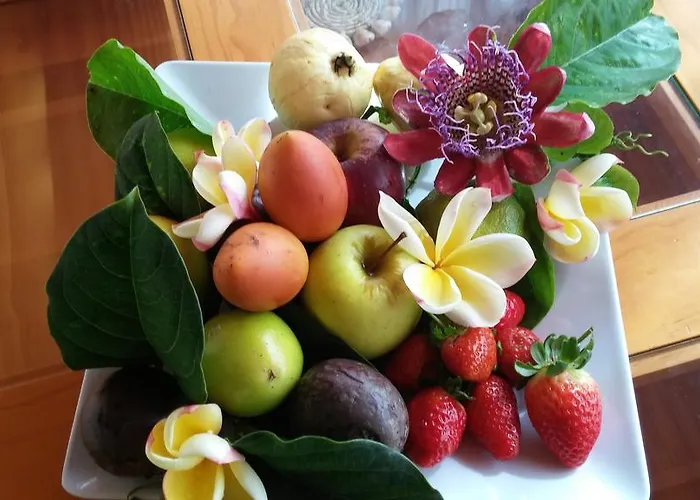Sunny Terrace Tenerife Apartamento *