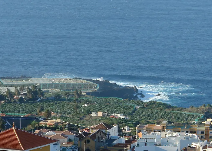 Sunny Terrace Tenerife Icod De Los Vinos